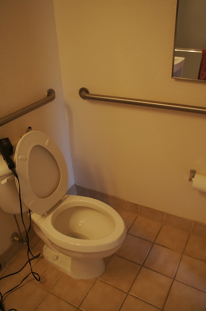 Our handicapped toilet