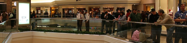line up for leopard