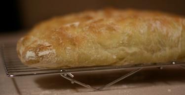 ciabatta bread