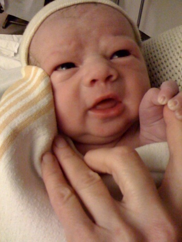 Finn