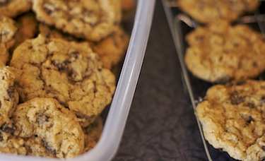 oatmeal chocolate chip divine