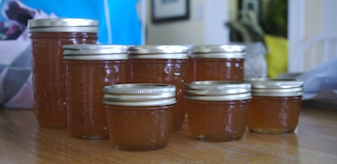nectarine jam