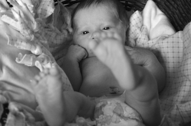 Marley Ruth Johanna