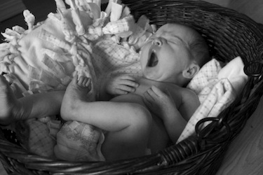 Marley Ruth Johanna