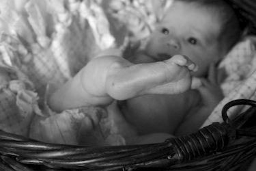 Marley Ruth Johanna