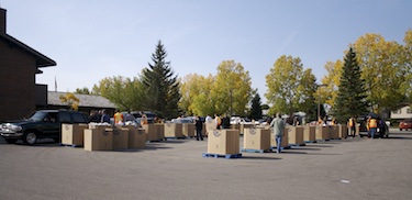 food drive