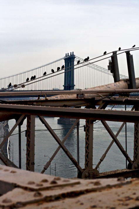 Manhattan Bridge 