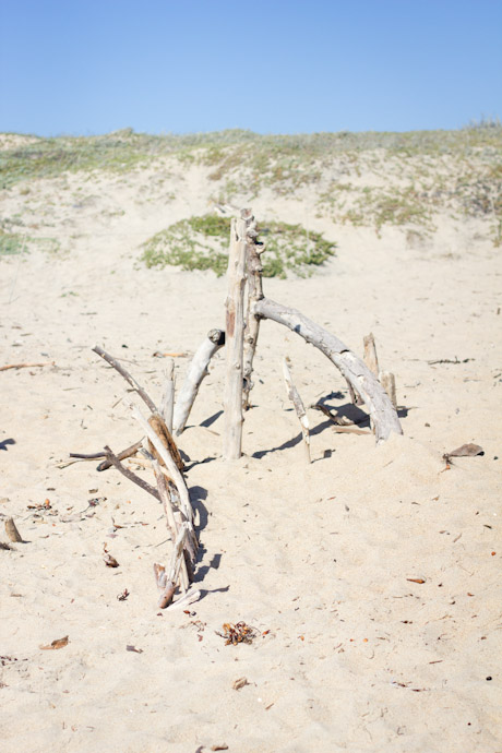 driftwood fort