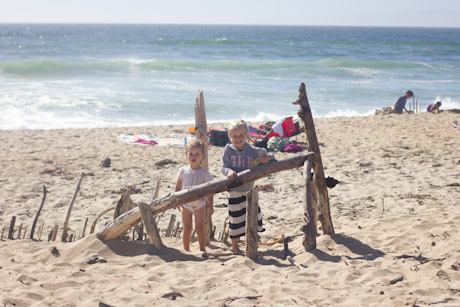 driftwood fort