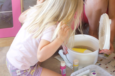 salad spinner art