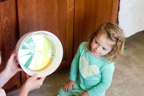 salad spinner art