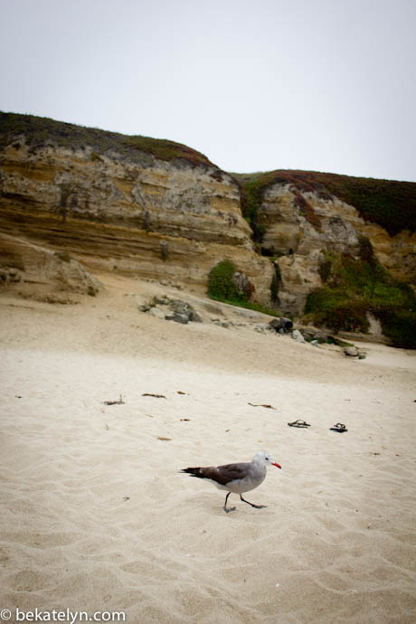 beach