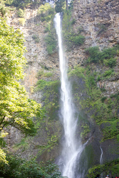 multnomah falls