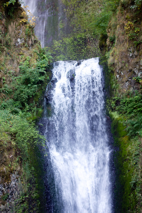 multnomah falls