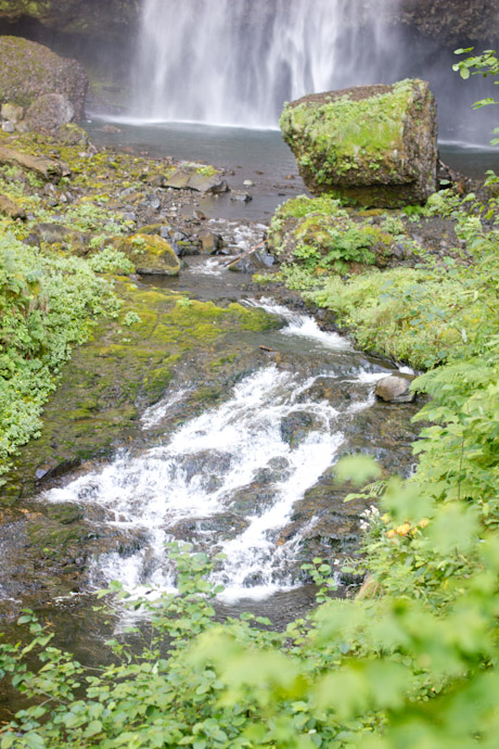 multnomah falls