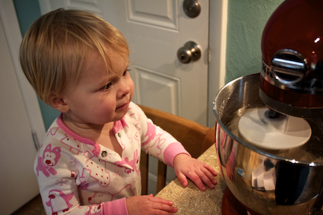 Holly baking