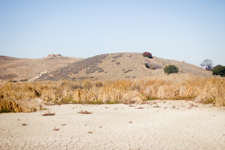 coyote hills