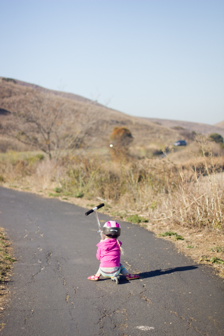 coyote hills