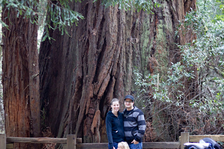 Muir Woods