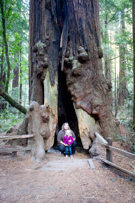 Muir Woods