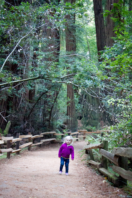 Muir Woods