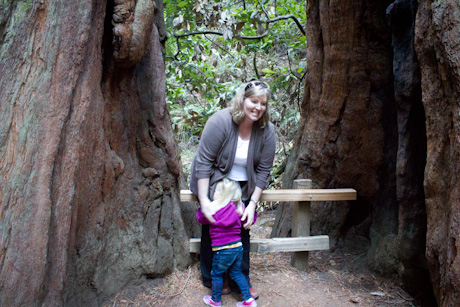 Muir Woods