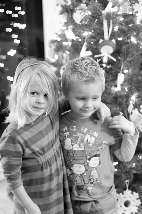 gingerbread houses