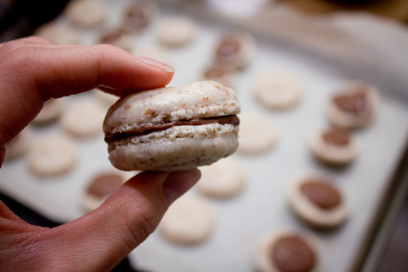 macarons