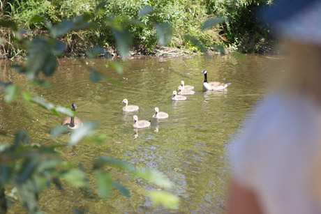 vasona park