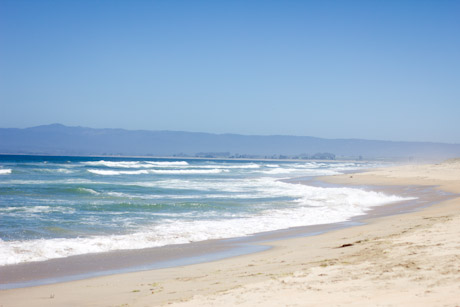 beach day