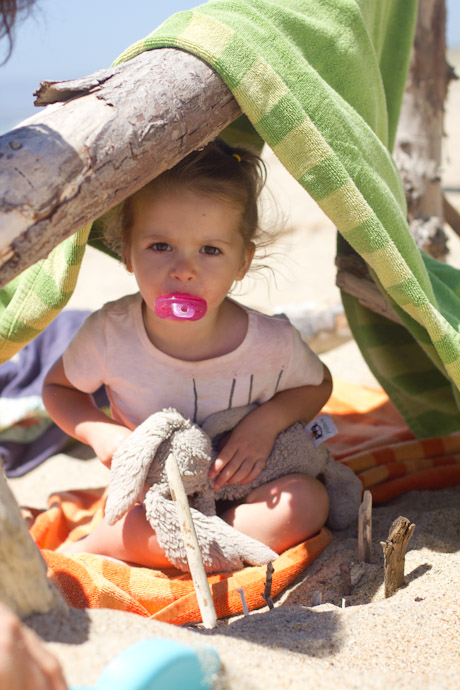 driftwood fort