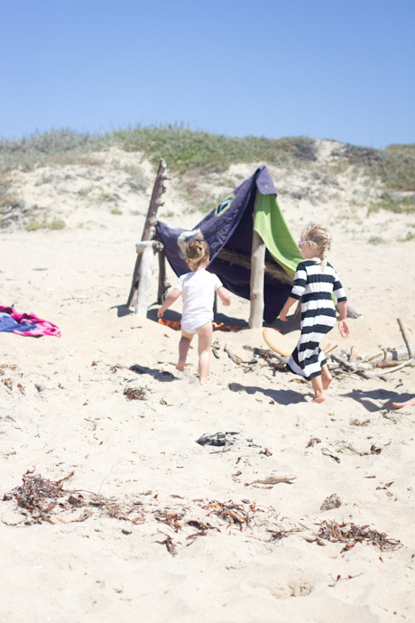 driftwood fort