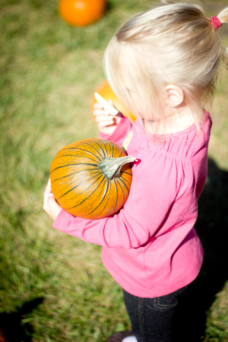 Cutest Pumpkin in the Patch